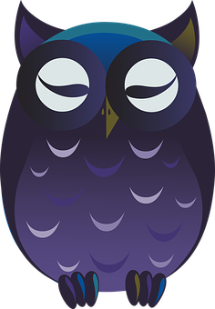 Cartoon Night Owl Graphic PNG image