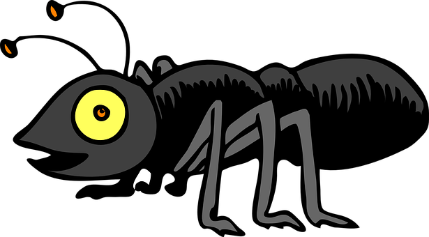 Cartoon Nighttime Insect PNG image