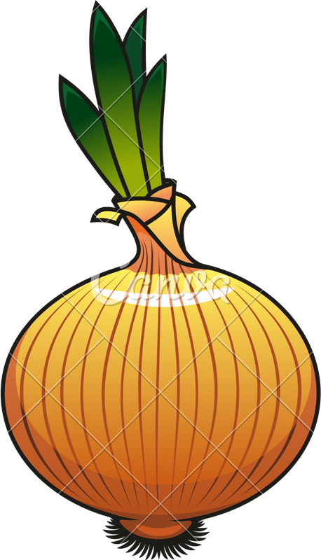 Cartoon Onion Illustration PNG image