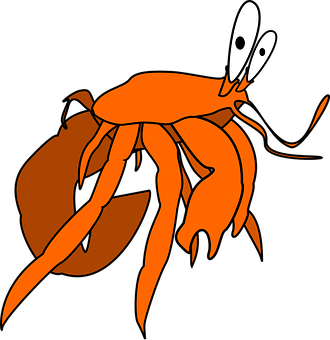 Cartoon_ Orange_ Hermit_ Crab_ Vector PNG image