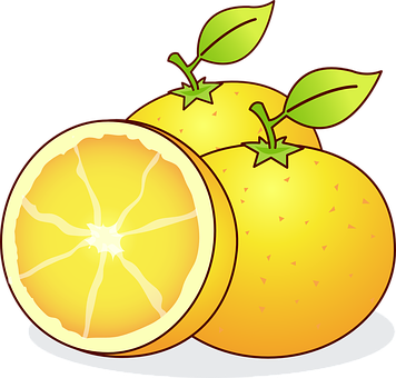 Cartoon Oranges Vector Illustration PNG image