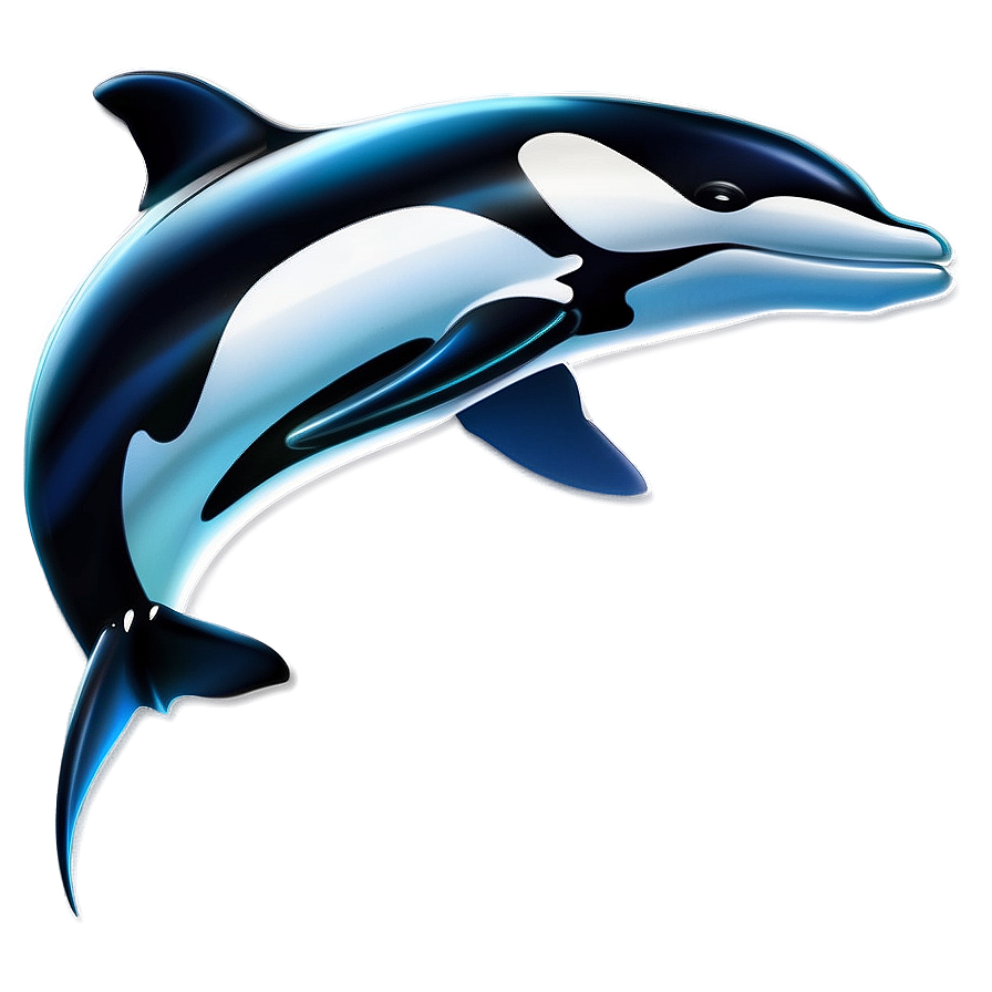 Cartoon Orca Png 05242024 PNG image