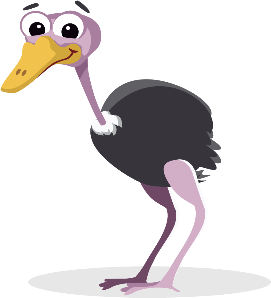 Cartoon Ostrich Character PNG image