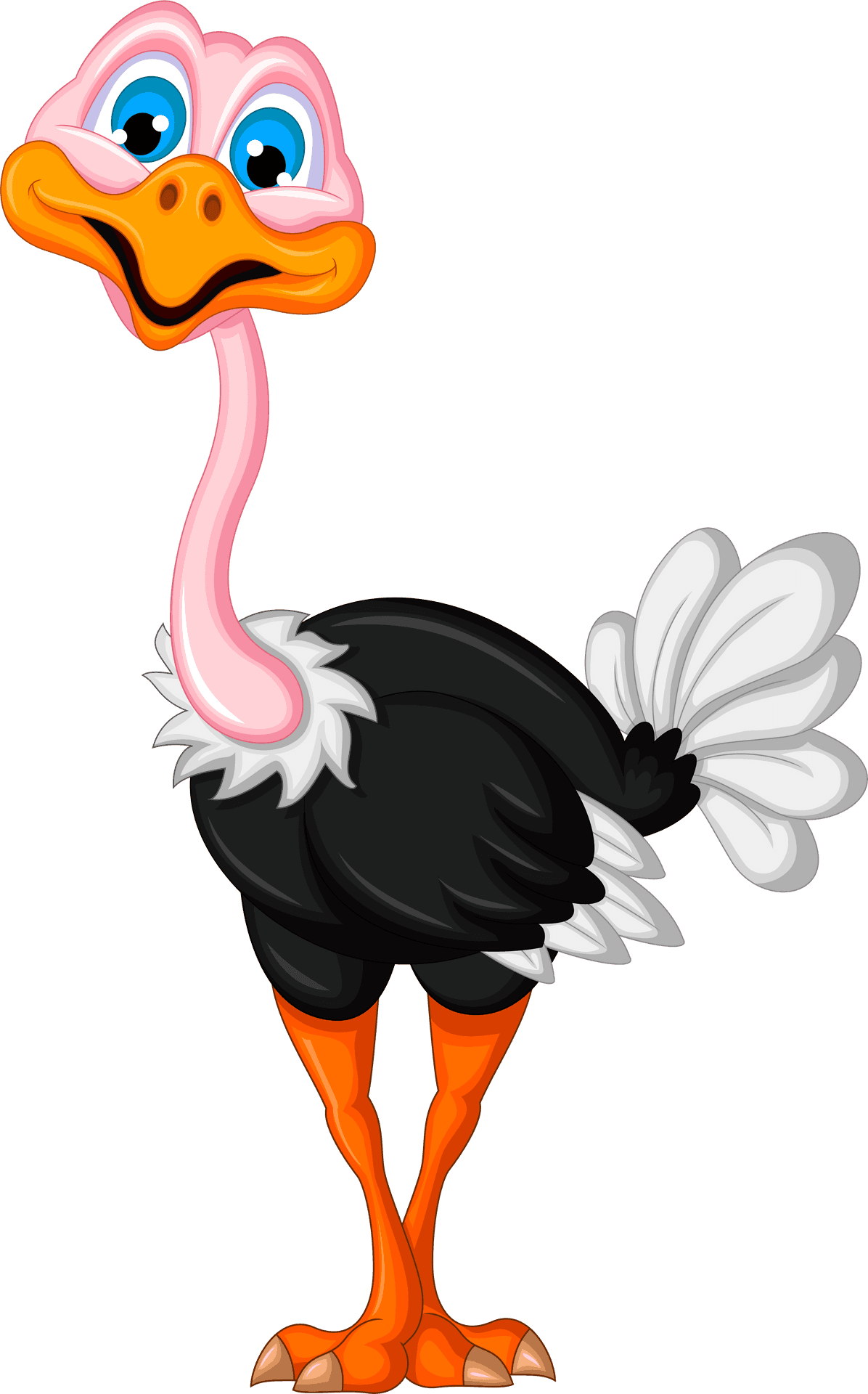 Cartoon_ Ostrich_ Character.png PNG image