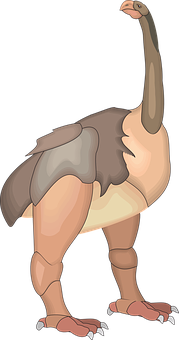 Cartoon Ostrich Illustration PNG image