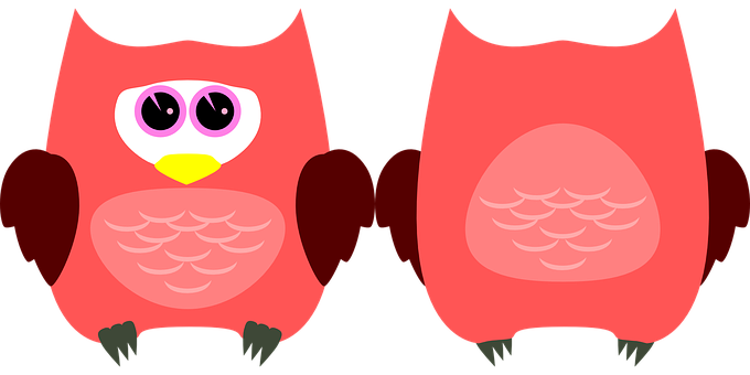 Cartoon Owl Twin Image PNG image