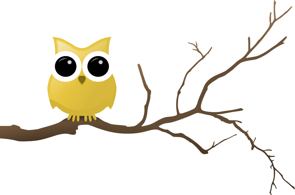 Cartoon Owlon Branch PNG image