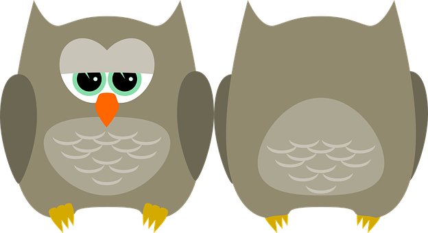 Cartoon Owls Sideby Side PNG image