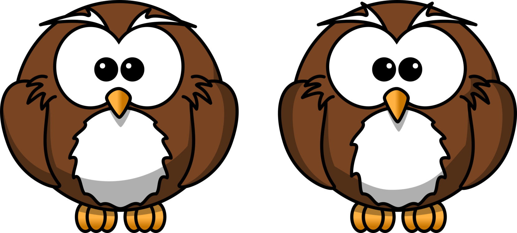 Cartoon Owls Twin Expression PNG image