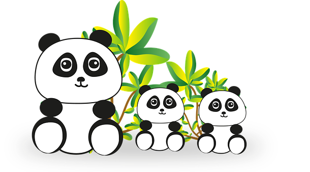 Cartoon Panda Family Illustration PNG image