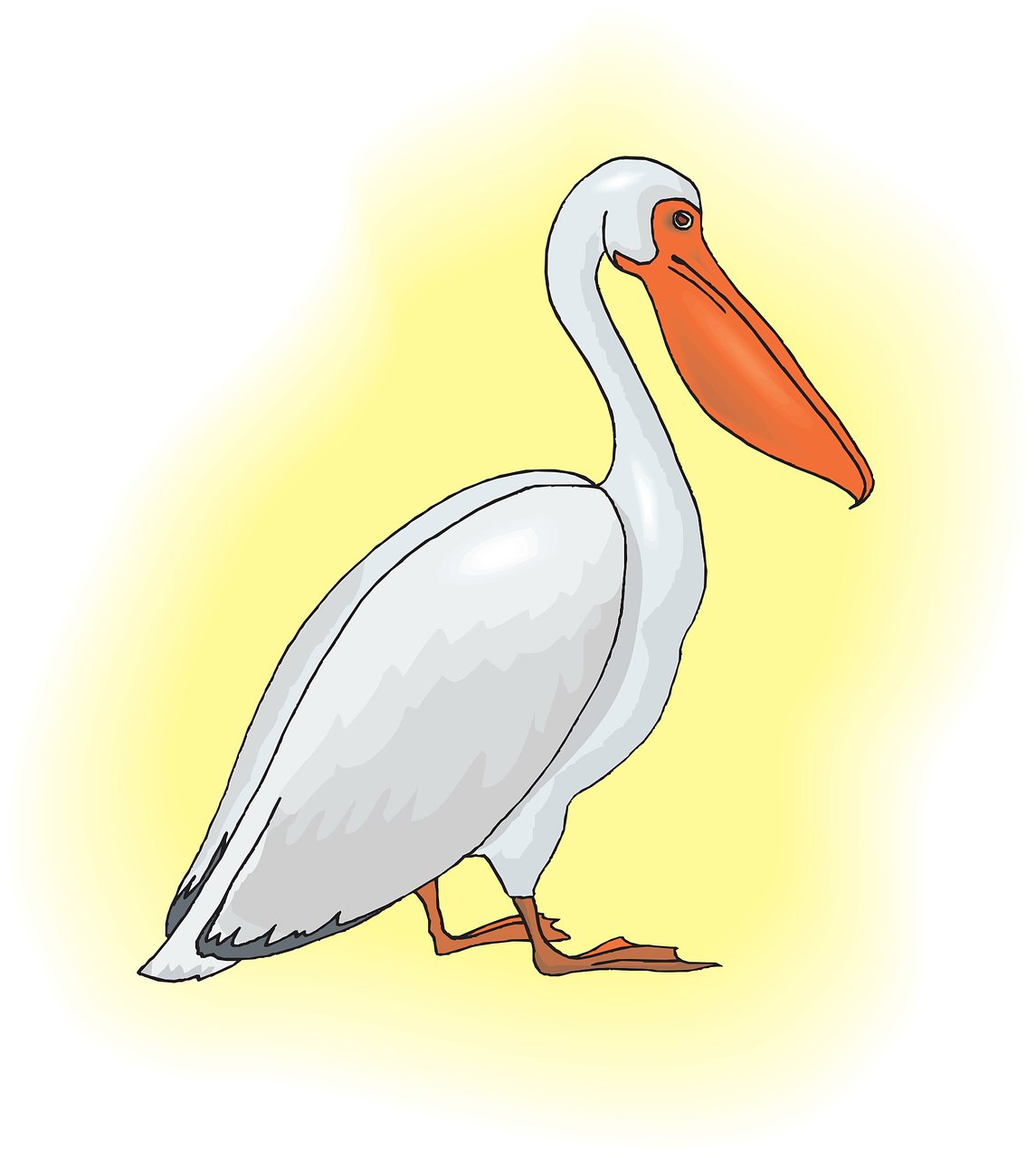 Cartoon Pelican Illustration PNG image