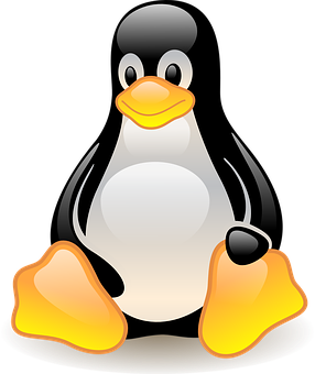 Cartoon Penguin Graphic PNG image