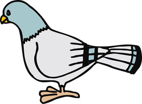 Cartoon Pigeon Illustration PNG image