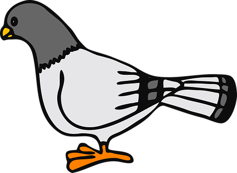 Cartoon Pigeon Illustration PNG image