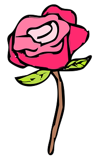 Cartoon Pink Rose Illustration PNG image