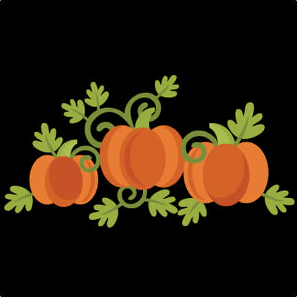 Cartoon Pumpkin Vine Graphic PNG image