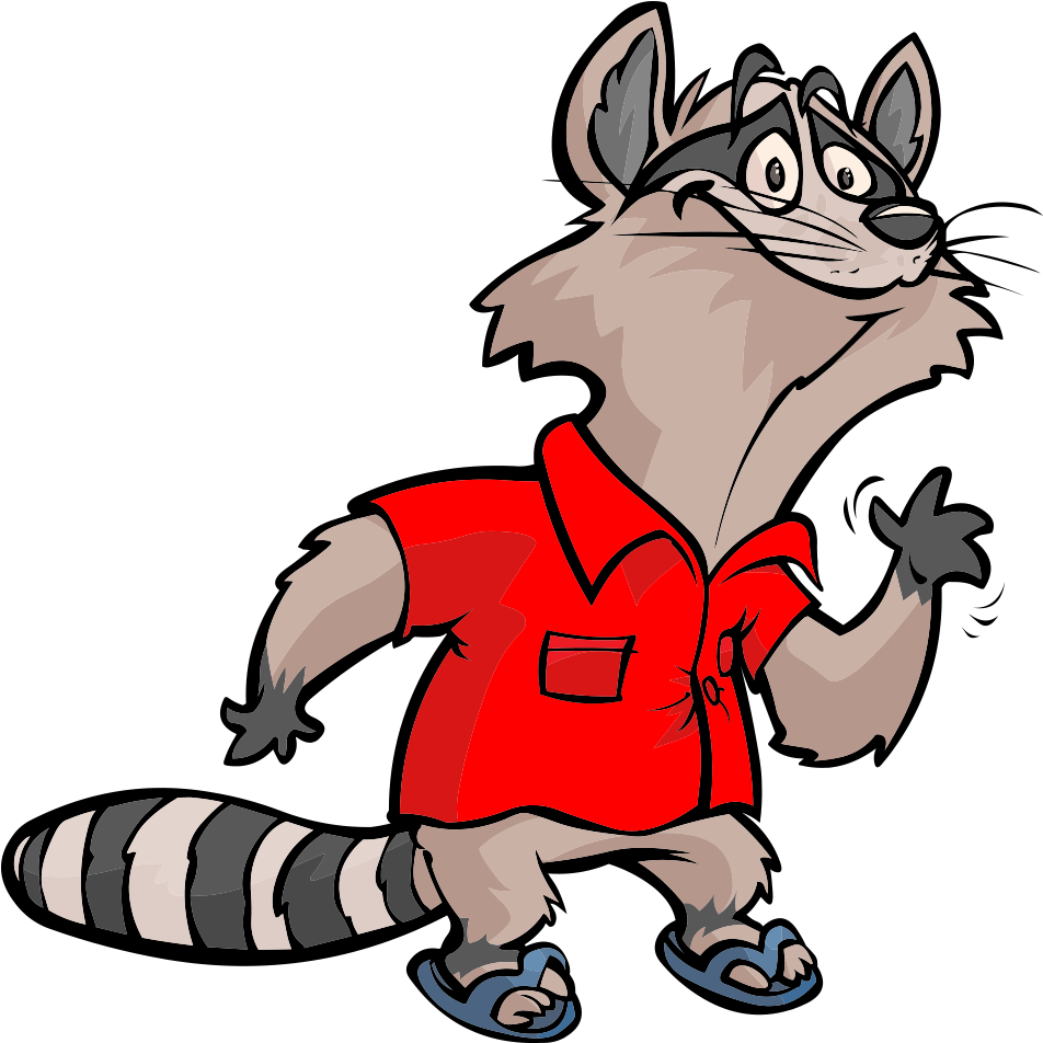 Cartoon Raccoonin Red Shirt.png PNG image