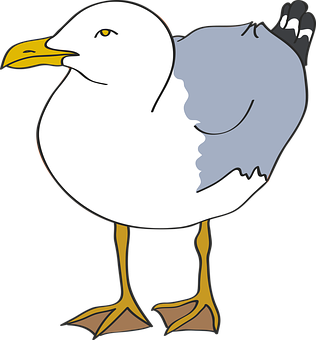 Cartoon Seagull Standing Vector PNG image