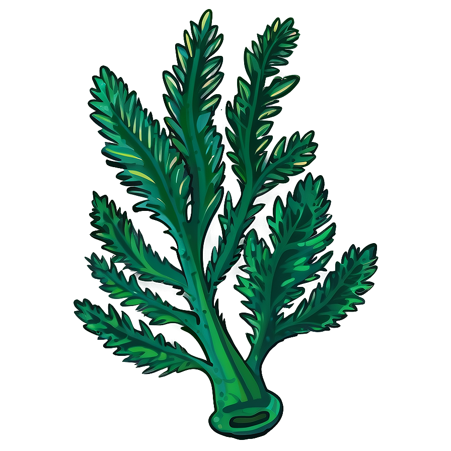 Cartoon Seaweed Image Png 05242024 PNG image