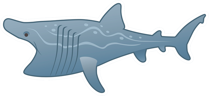 Cartoon Shark Illustration PNG image