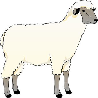 Cartoon Sheep Illustration PNG image