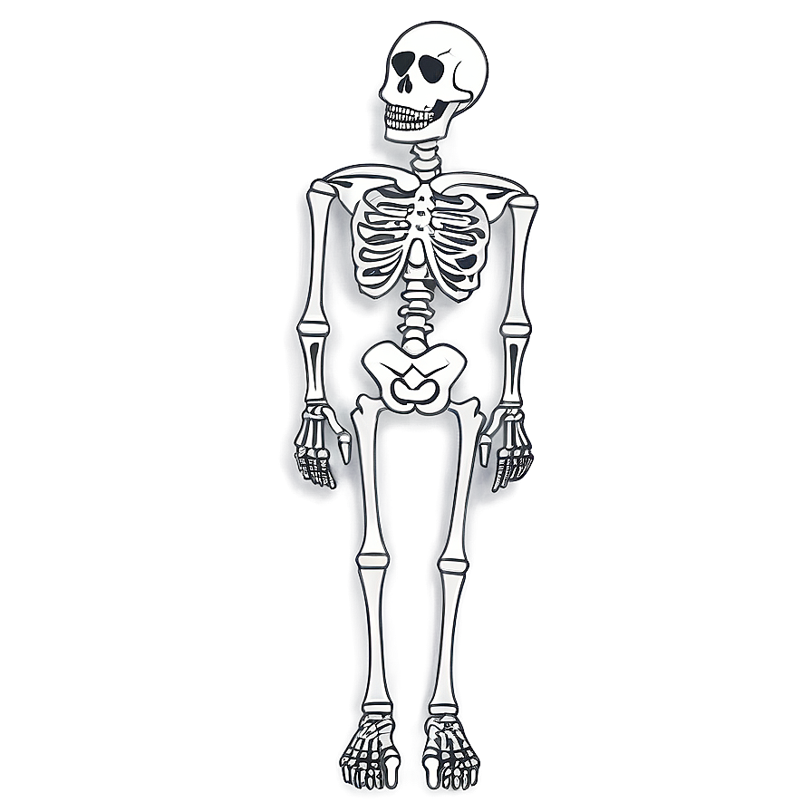 Cartoon Skeleton In Love Png 06262024 PNG image