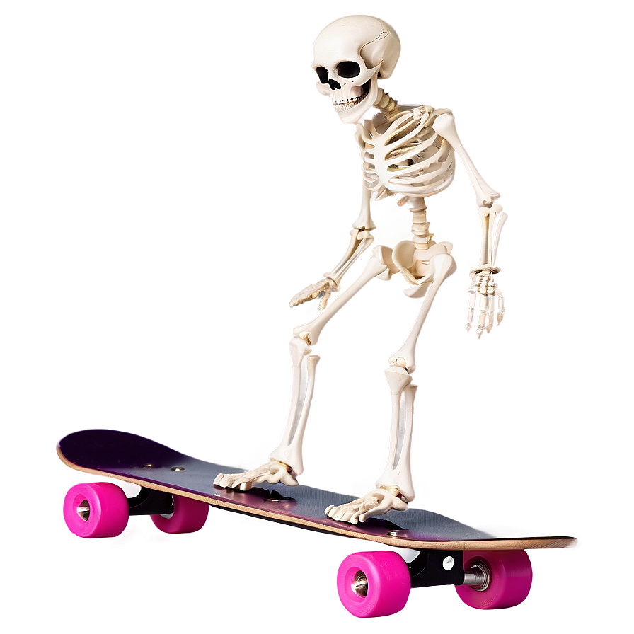 Cartoon Skeleton On Skateboard Png 24 PNG image