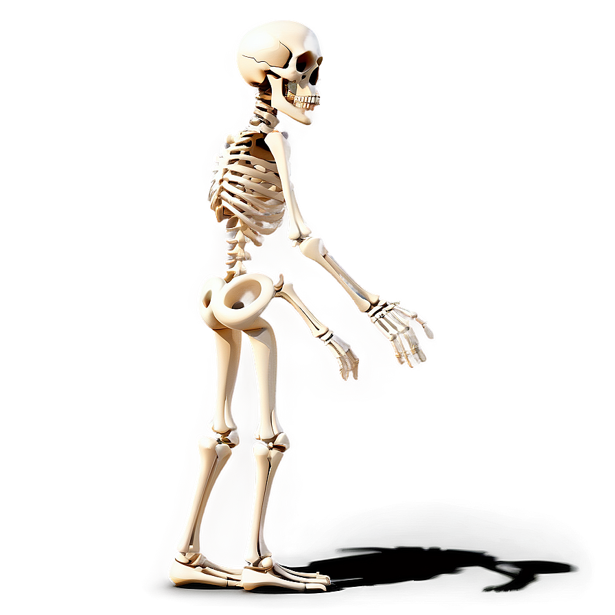 Cartoon Skeleton Side View Png 06262024 PNG image