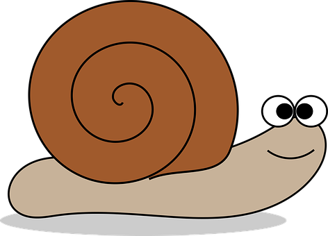 Cartoon Snail Graphic PNG image