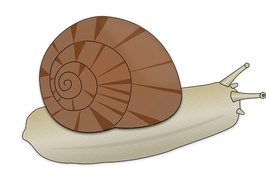 Cartoon Snail Illustration PNG image