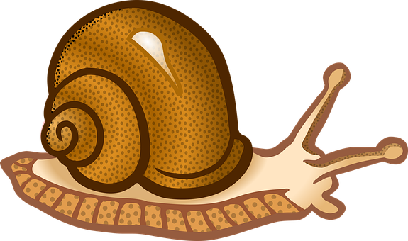 Cartoon Snail Illustration PNG image