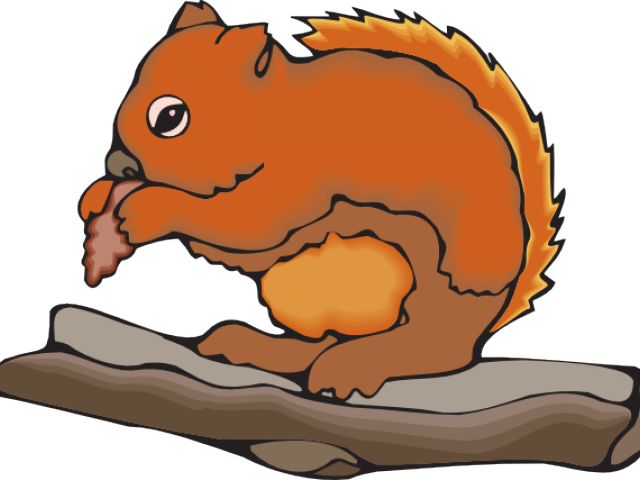 Cartoon Squirrel Eating Nuton Branch PNG image