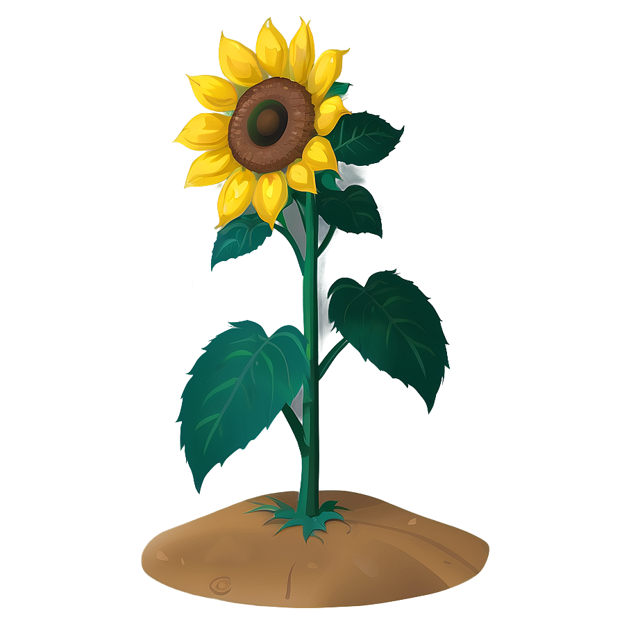 Cartoon Sunflower Character Png Bck68 PNG image