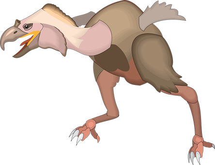 Cartoon_ Terror_ Bird_ Illustration PNG image