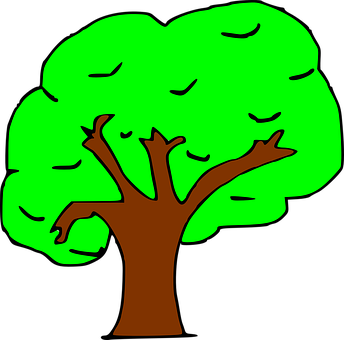 Cartoon Tree Illustration PNG image