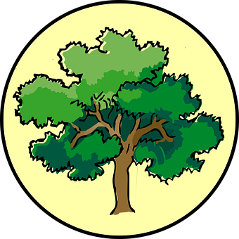 Cartoon Tree Illustration PNG image