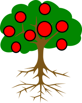 Cartoon Tree With Rootsand Fruit PNG image