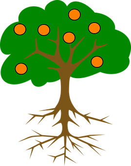 Cartoon Treewith Rootsand Fruit PNG image