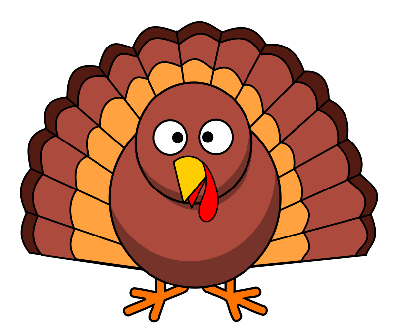 Cartoon Turkey Illustration PNG image