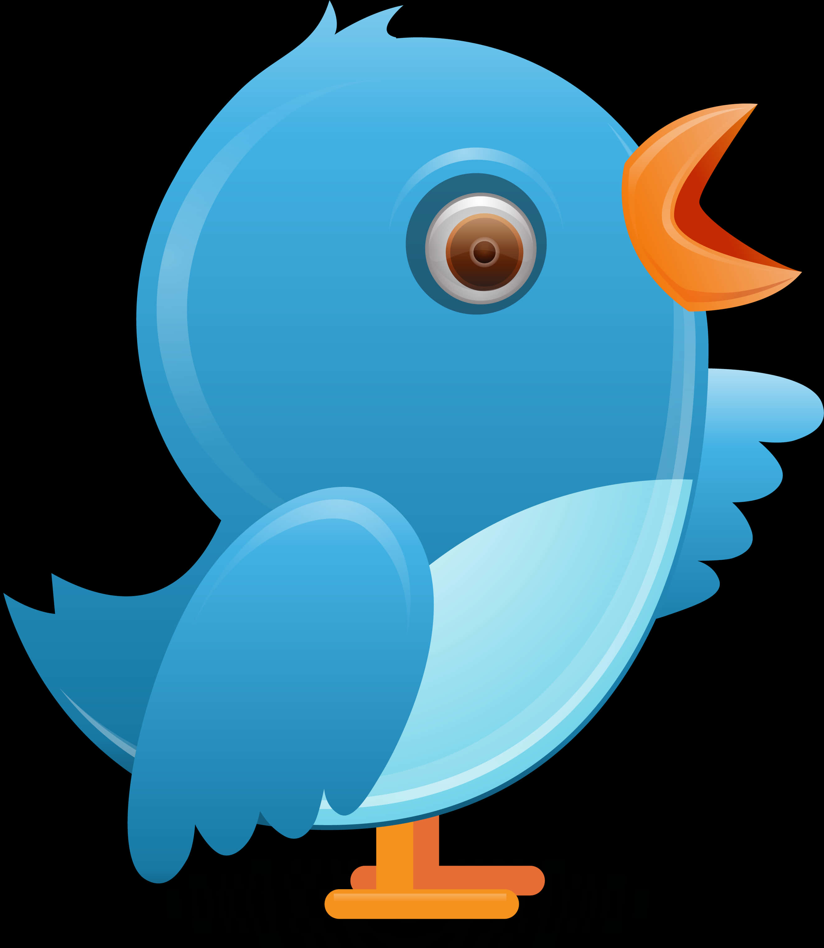 Cartoon Twitter Bird Illustration PNG image