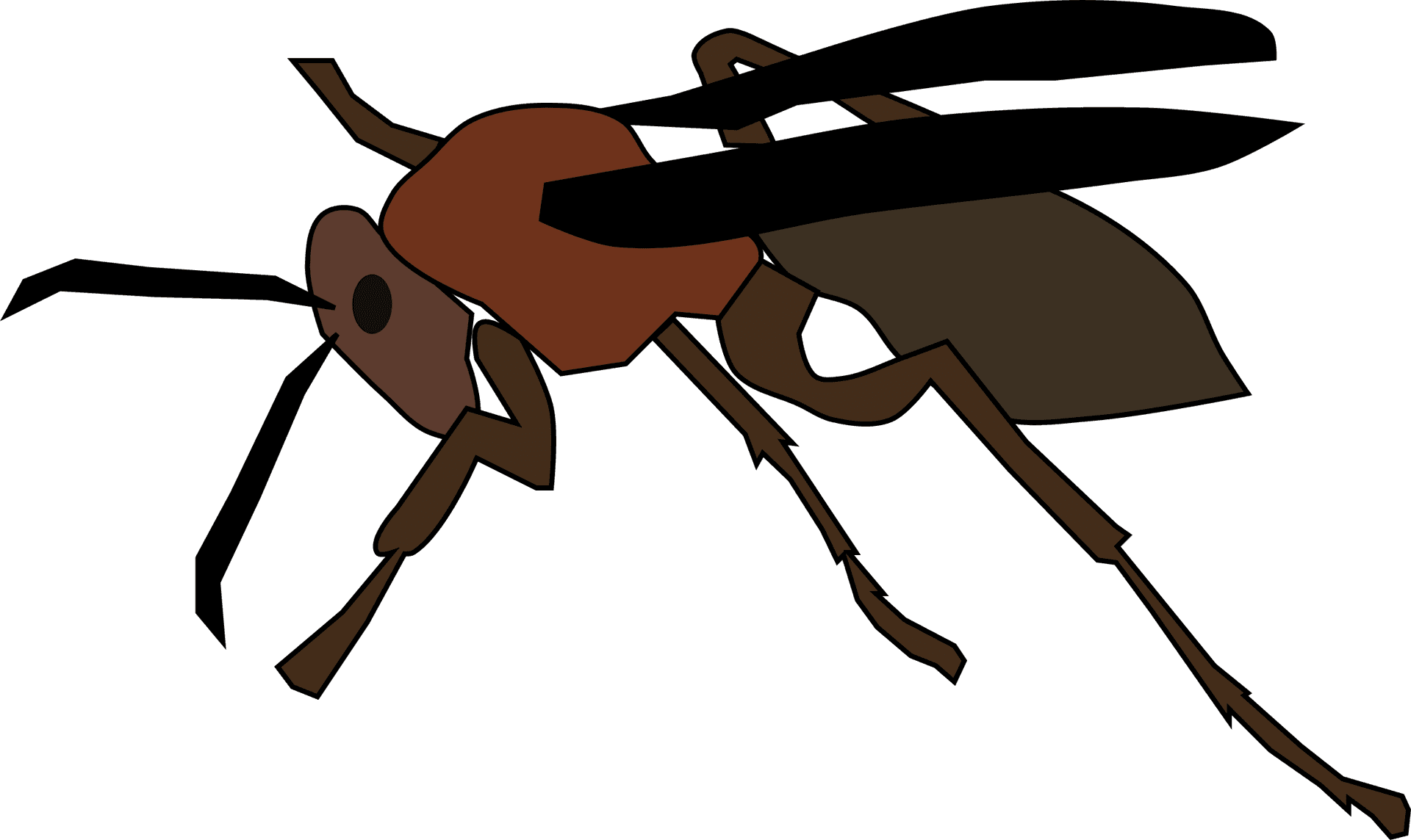 Cartoon Wasp Illustration PNG image