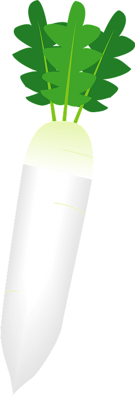 Cartoon White Radish Illustration PNG image