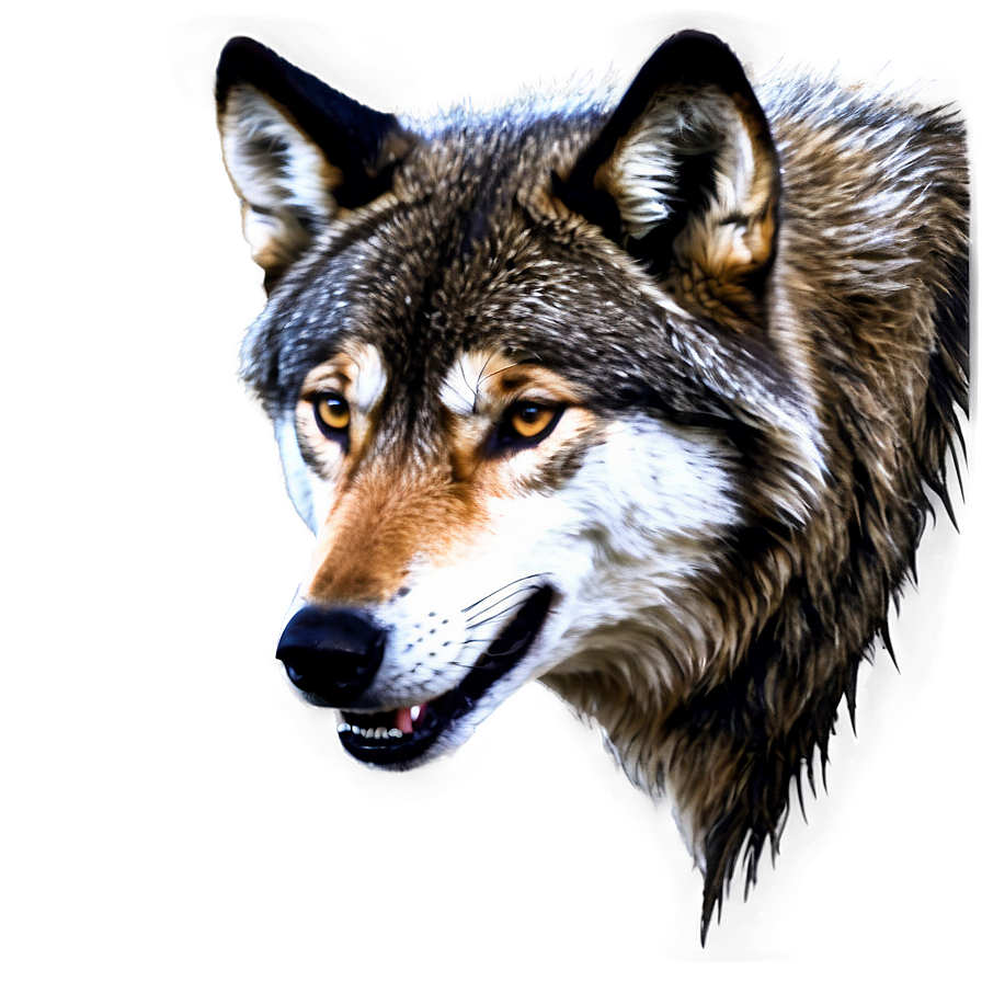 Cartoon Wolf Face Png Saw35 PNG image