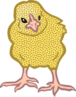 Cartoon Yellow Chick Illustration PNG image