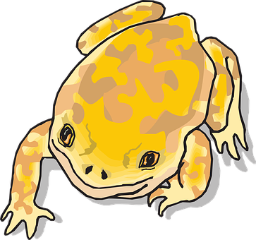 Cartoon Yellow Frog Illustration PNG image