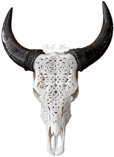 Carved Animal Skullwith Horns PNG image