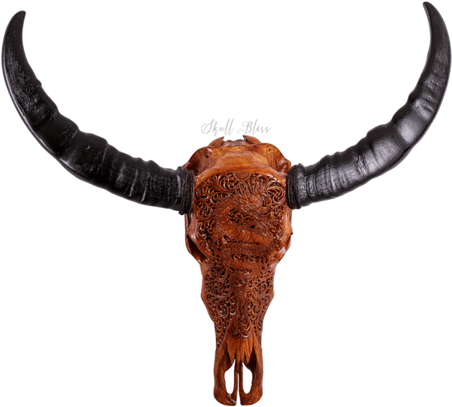 Carved Buffalo Skullwith Horns PNG image
