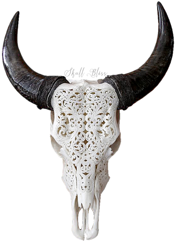 Carved Goat Skullwith Horns PNG image