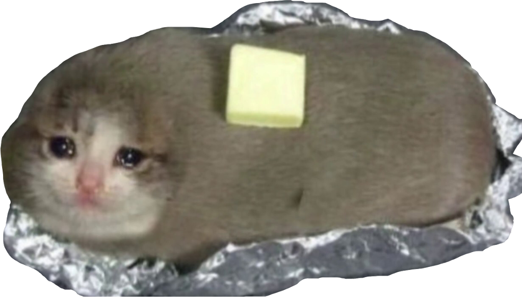 Cat Burrito Meme PNG image