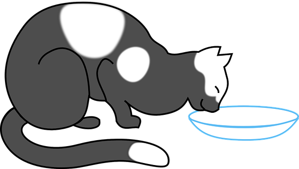 Cat Drinking Water Silhouette Illustration PNG image